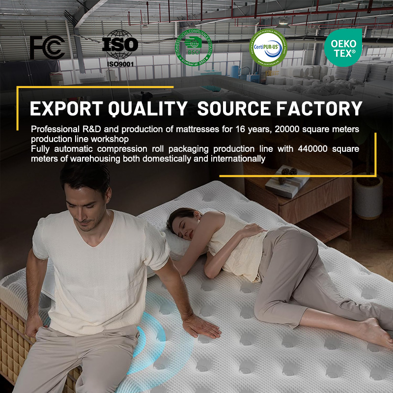 HOMEMATE 14 Inch In A Box Quee - Memory Foam Mattress In A Box Queen ulasan dan harga