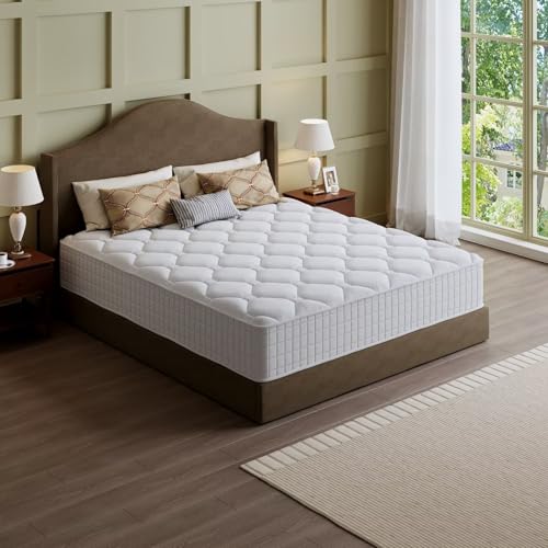 Queen Mattress, 14 Inch Hybrid - Memory Foam Mattress In A Box Queen ulasan dan harga