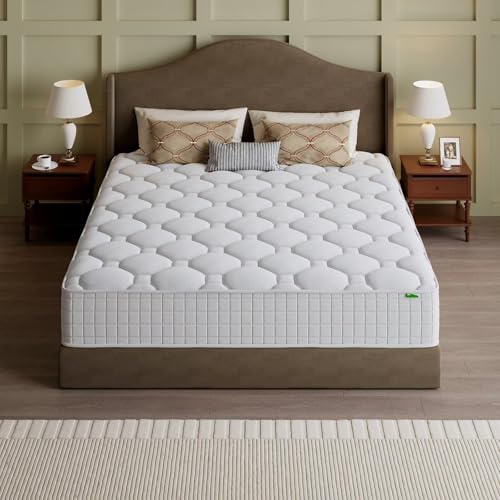 Queen Mattress, 14 Inch Hybrid - Memory Foam Mattress In A Box Queen ulasan dan harga